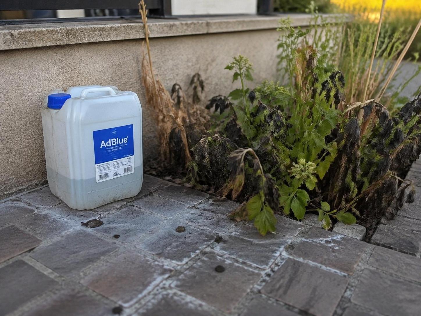 découvrez les véritables effets de l'utilisation de l'adblue comme désherbant et pourquoi cette pratique est déconseillée pour l'environnement et la santé.