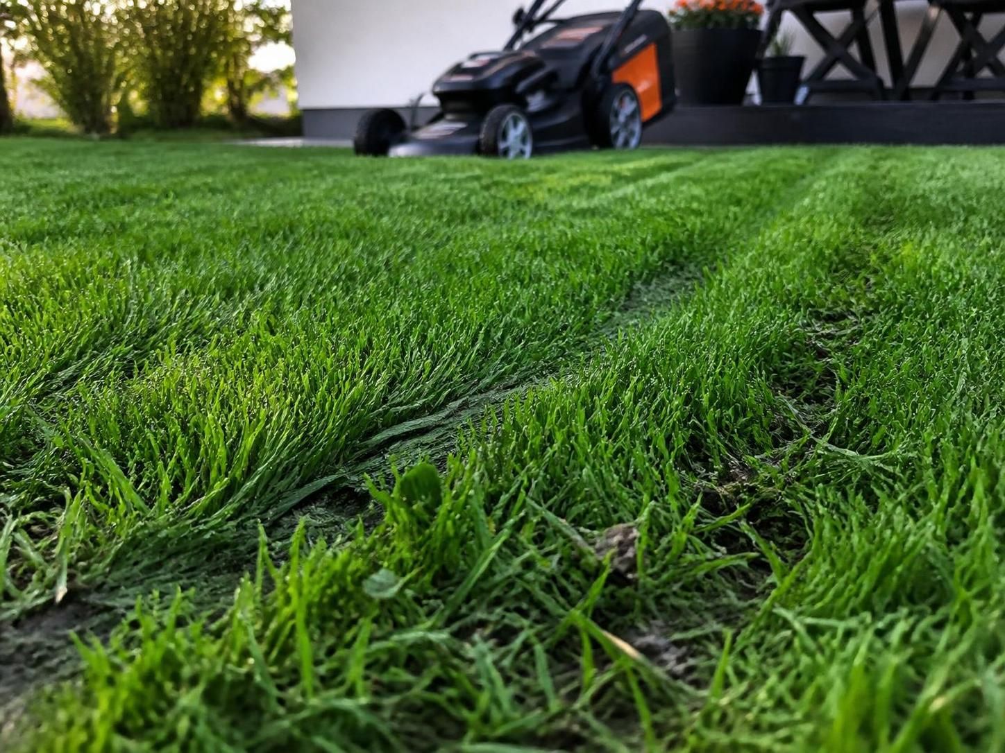 découvrez les astuces pour tondre une pelouse humide en toute sécurité, ainsi que les risques à éviter avant d'utiliser votre tondeuse. protégez votre jardin et votre matériel grâce à nos conseils pratiques.