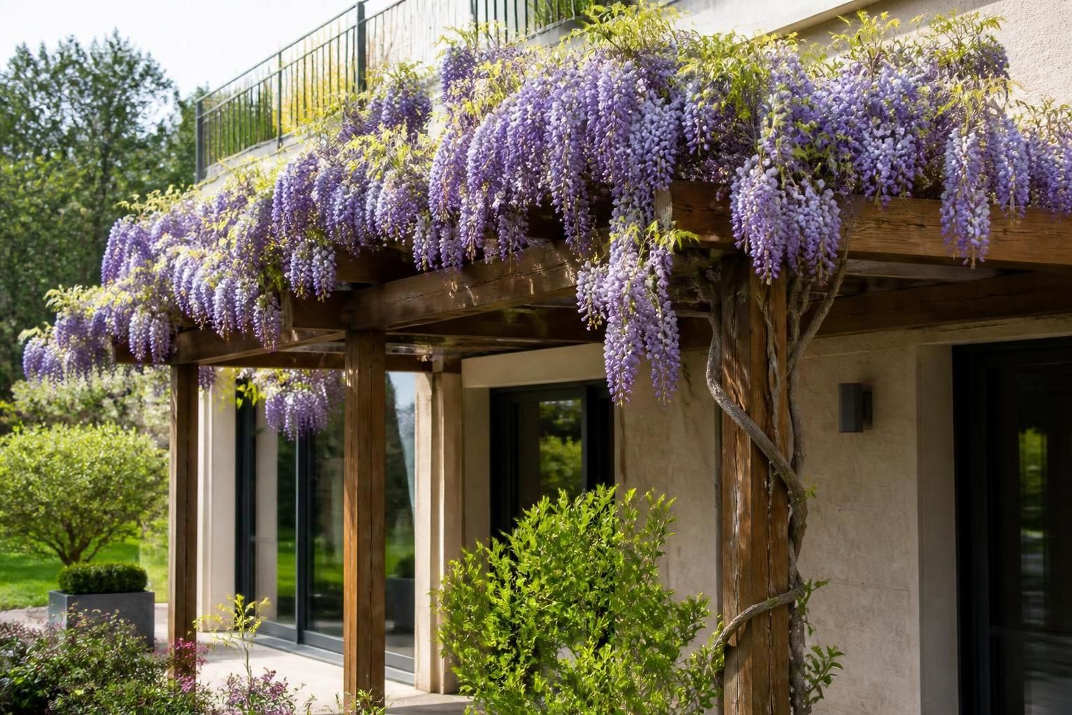 découvrez le calendrier parfait pour tailler votre glycine au bon moment et assurer une floraison abondante chaque saison.