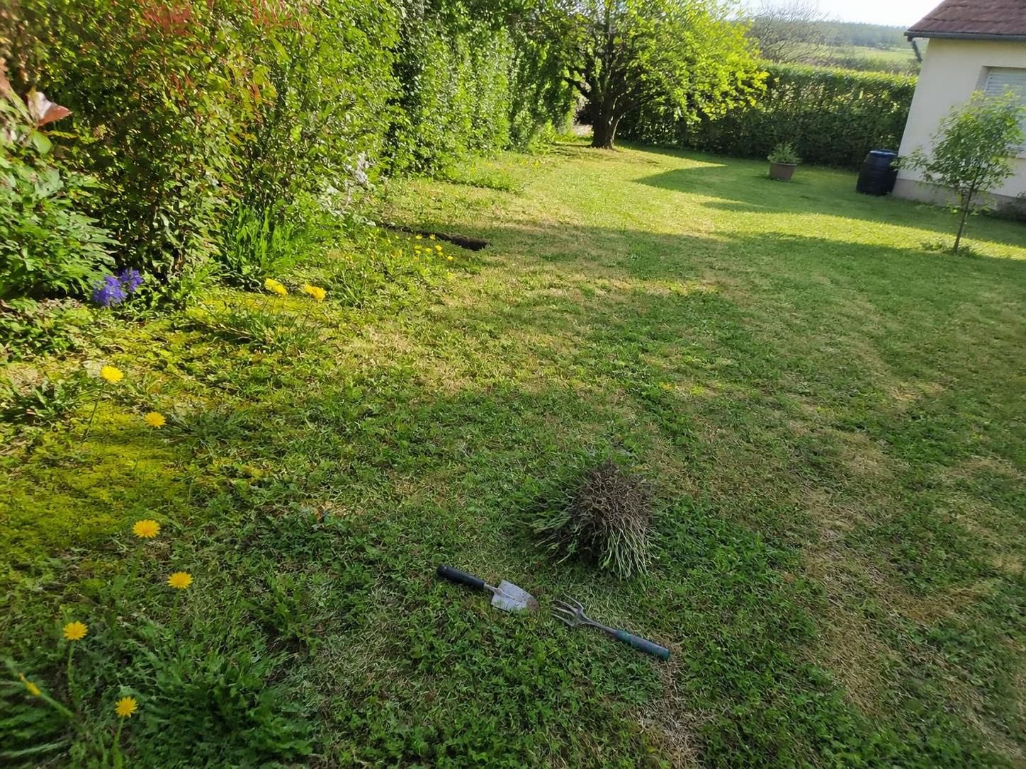 découvrez comment réussir la rénovation de votre pelouse envahie de mauvaises herbes grâce à ces 5 étapes simples et efficaces pour retrouver un gazon sain et verdoyant.